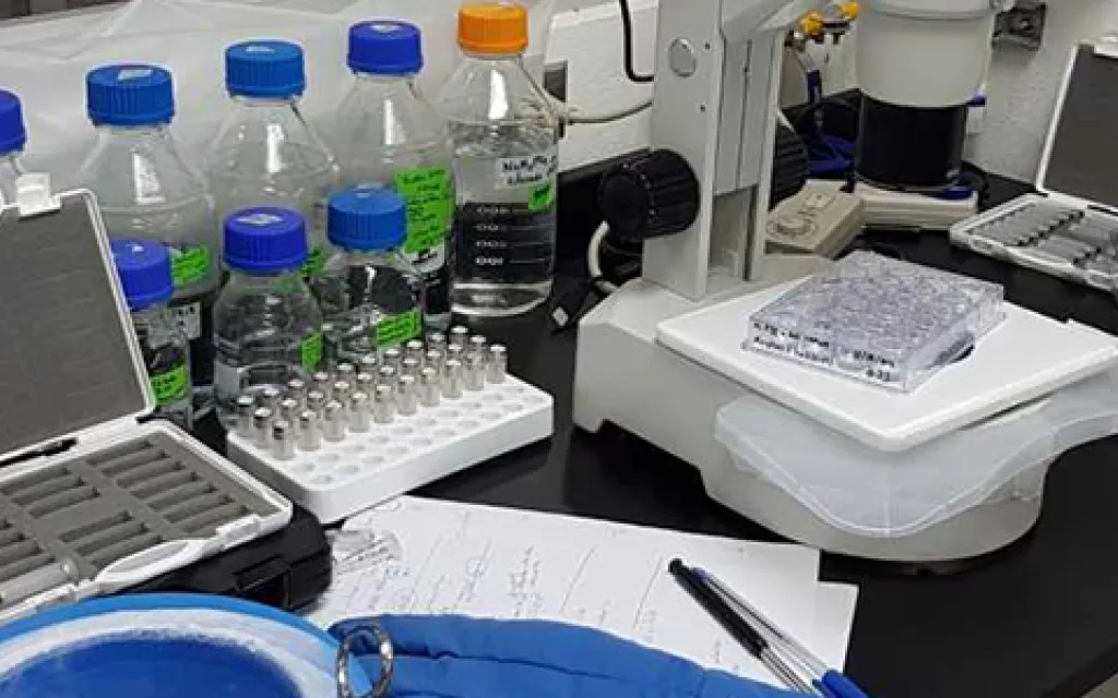 laboratorio
