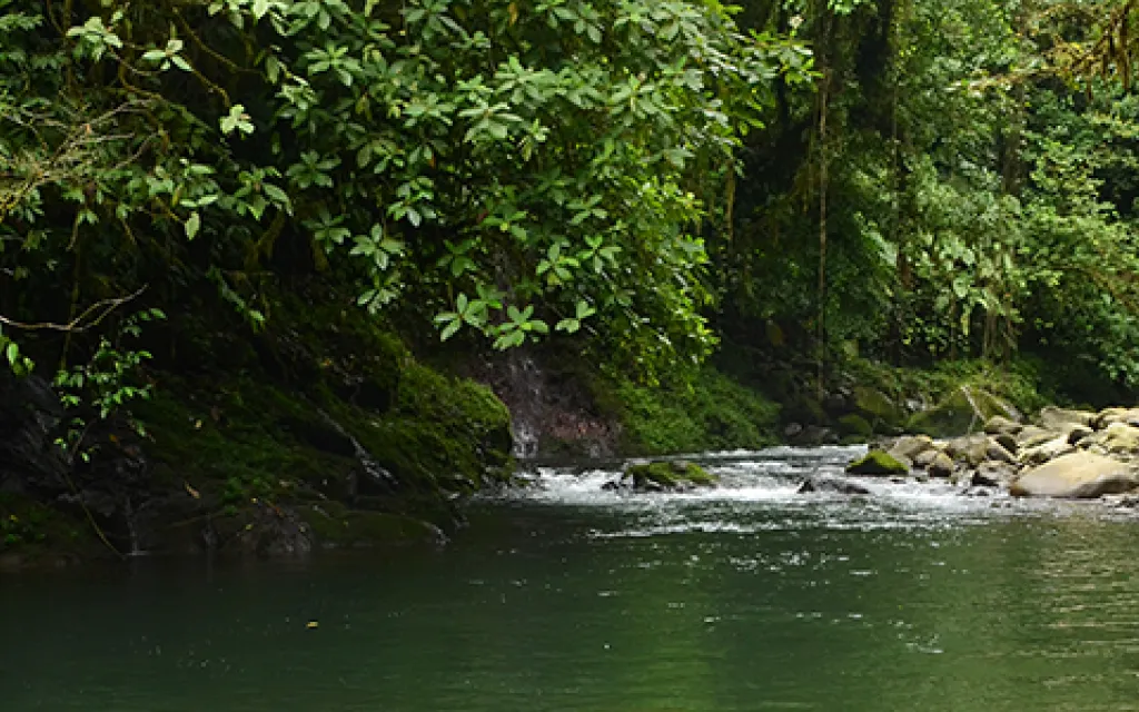 rio de san ramón