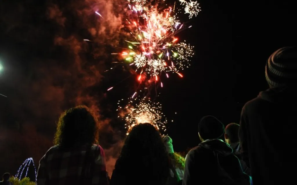 iluminacion_arbol_tec_17