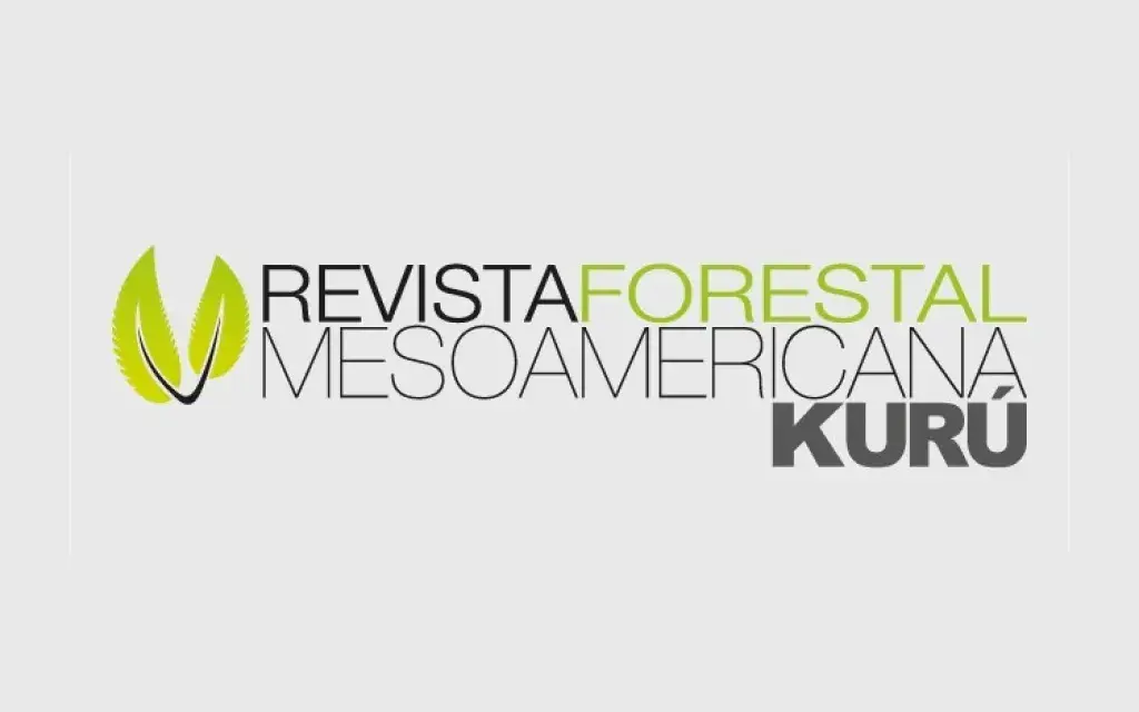 Revista