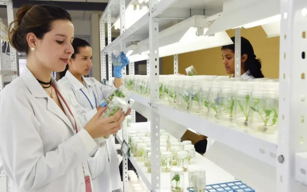 Trabajo en laboratorio