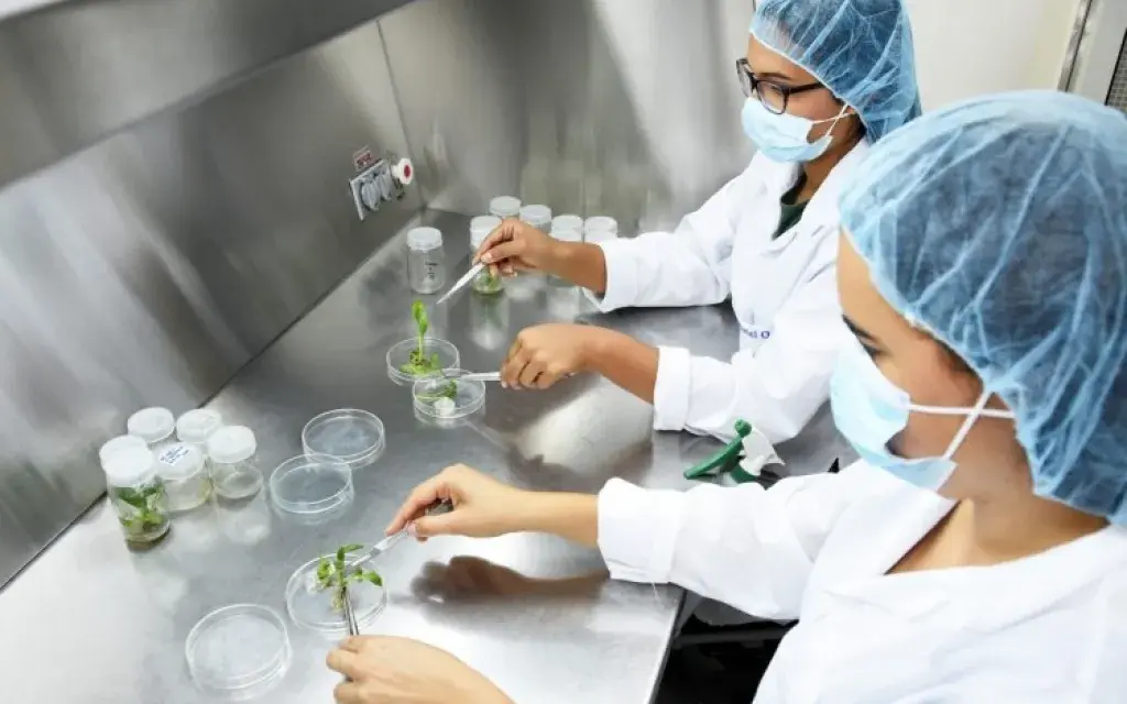 Laboratorio