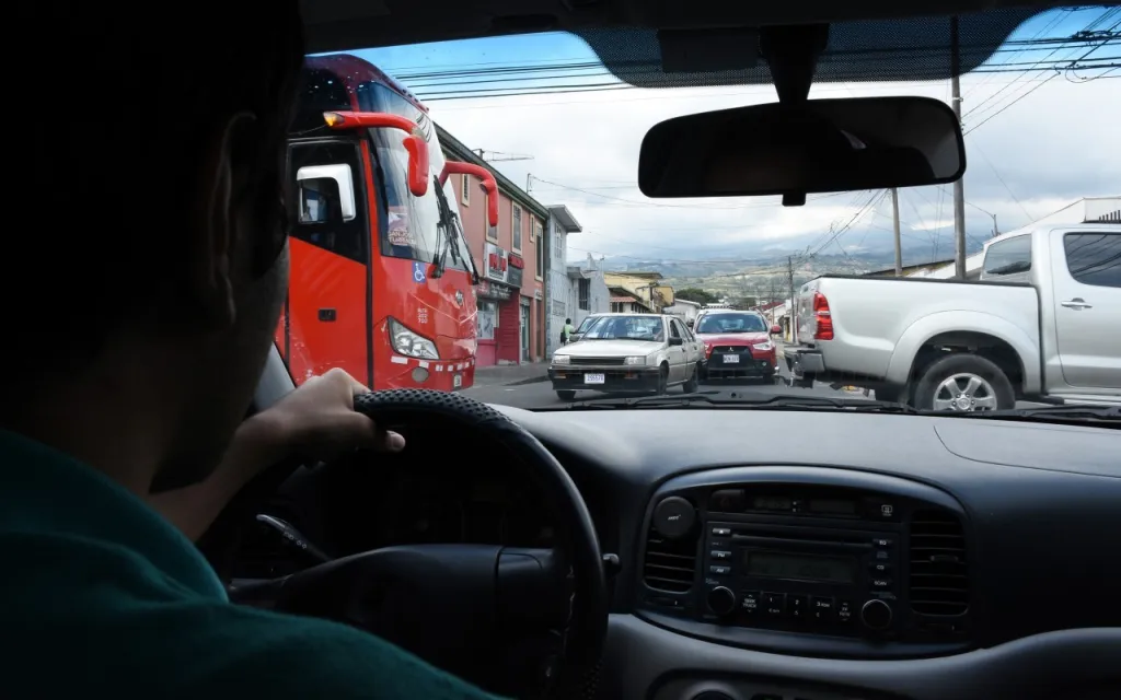 buses