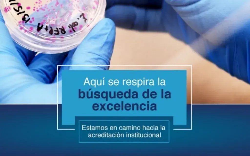 Afiche