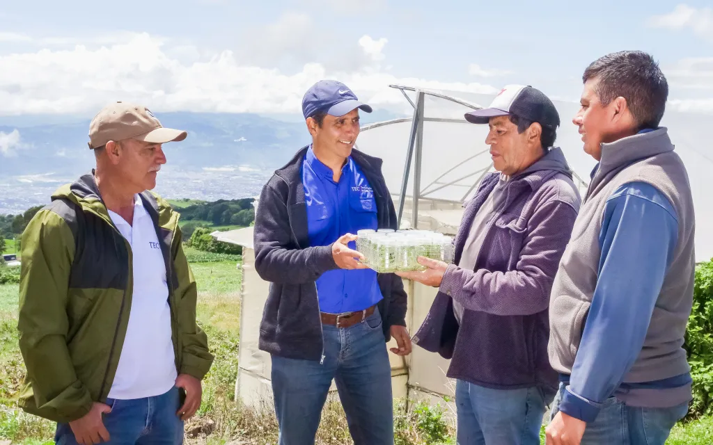 docentes entregan vitroplantas a agricultores
