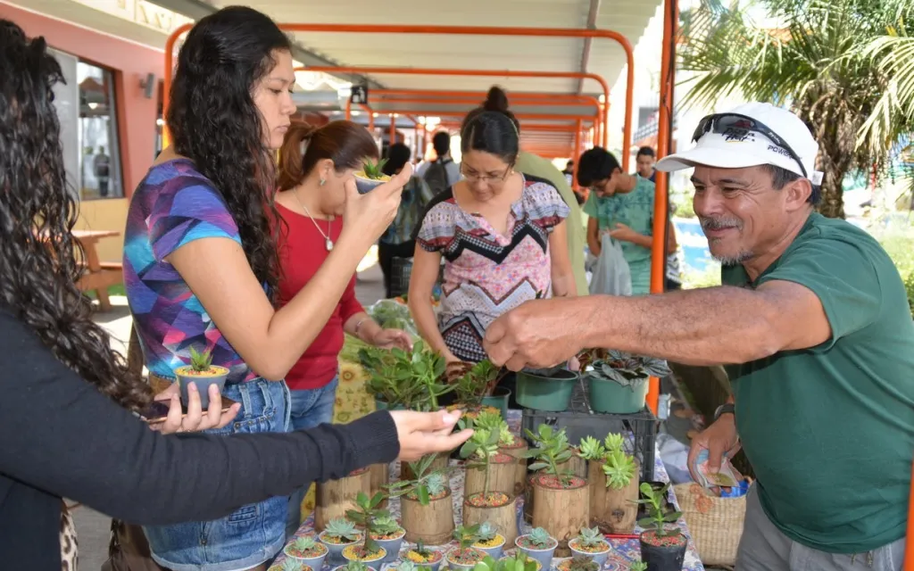 actividad