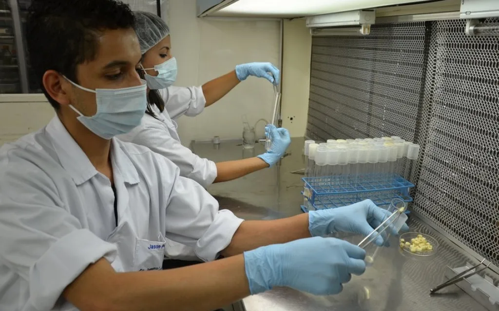 Laboratorio
