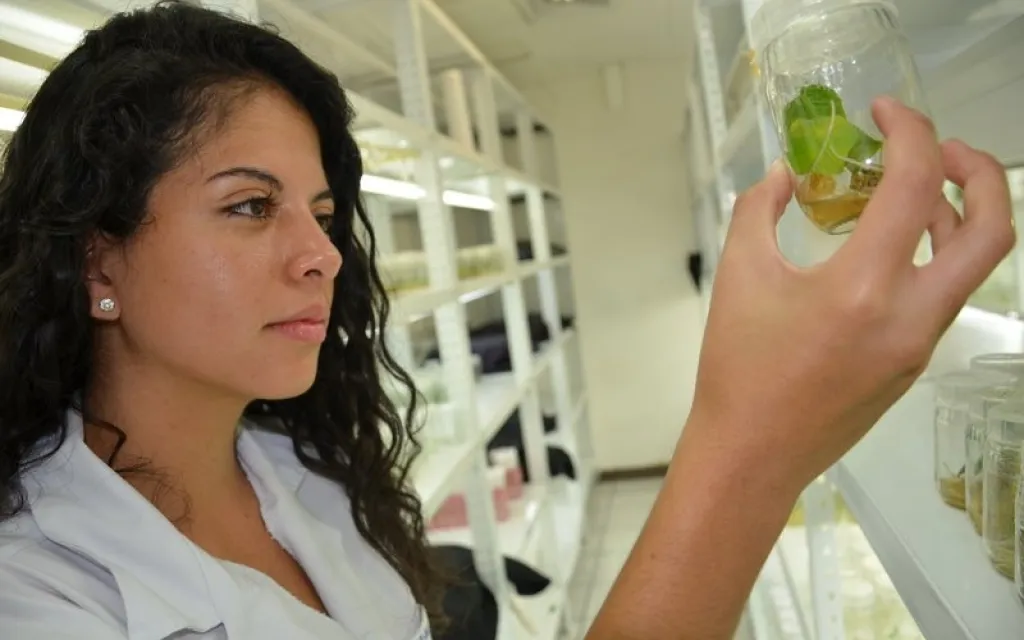 Laboratorio