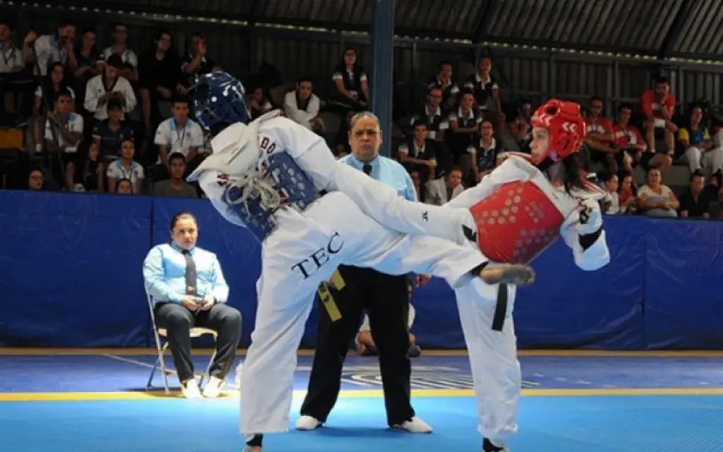 taekwondo