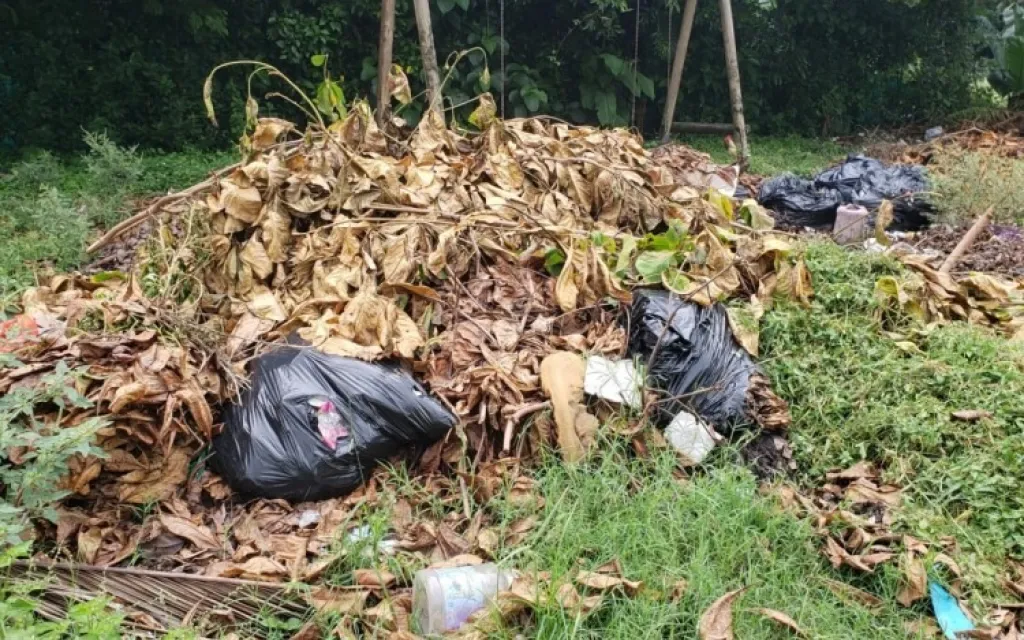 Fotografía de basura con hojas