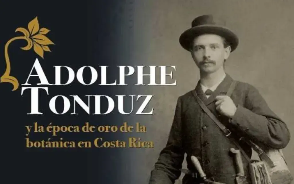 Afiche