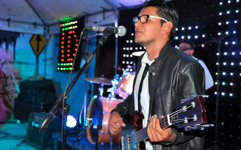 Cantante, guitarrista