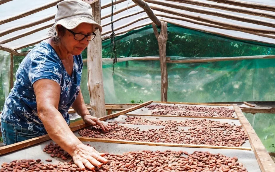 Fotografía de la actividad