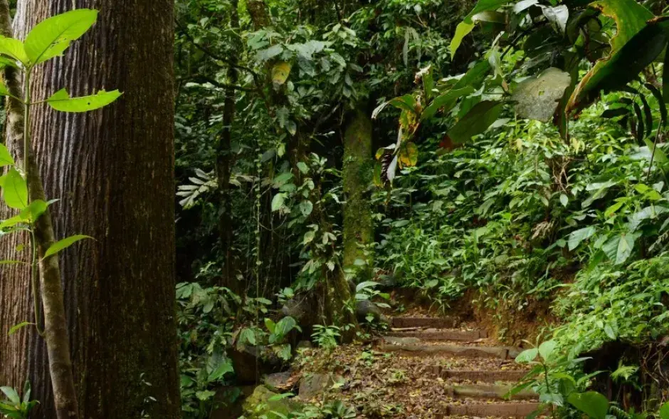 Fotografías: Ruth Garita.