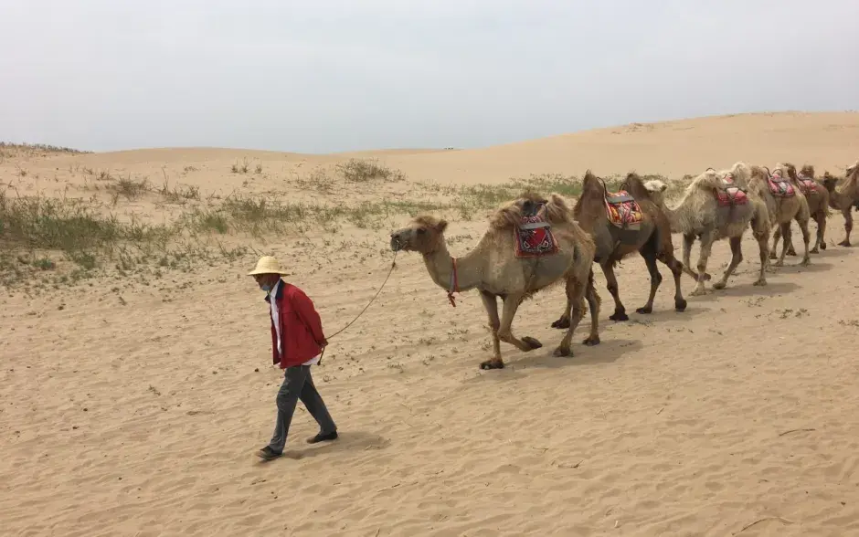 Fotografías: Kenneth Mora