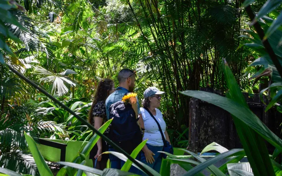 Apertura del Simón Bolívar