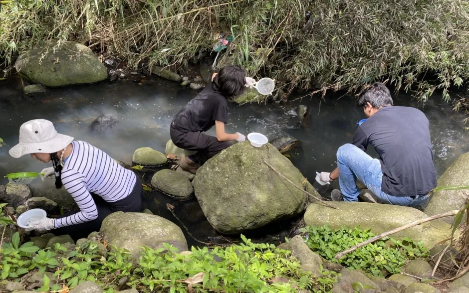Fotografía de la actividad
