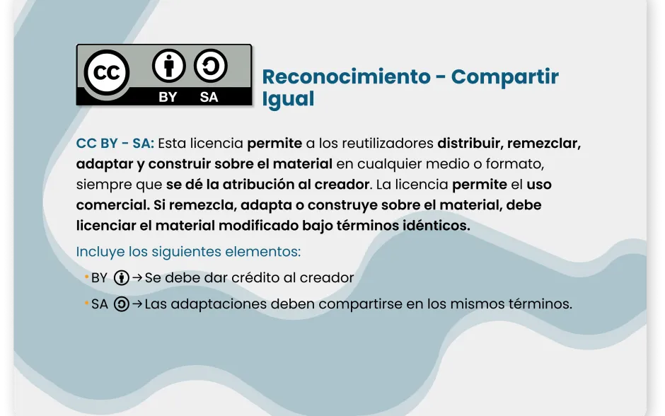 Tipo 4