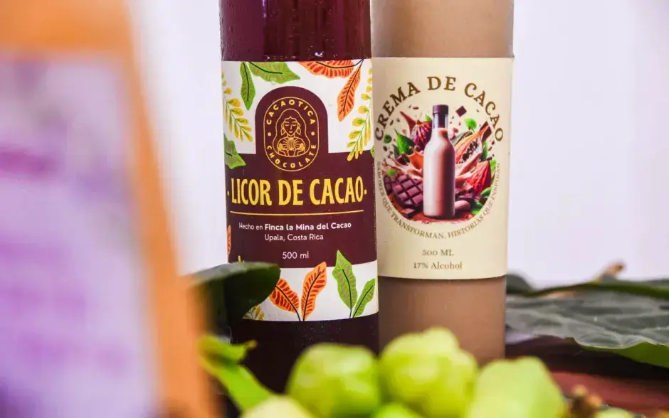 Competitividad del sector cacao mejora con la economía circular