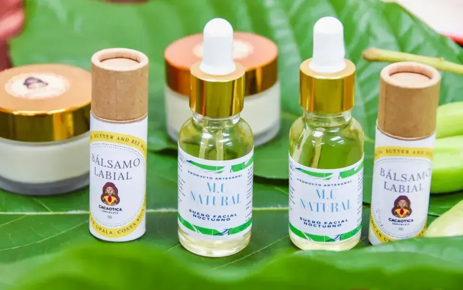 Competitividad del sector cacao mejora con la economía circular