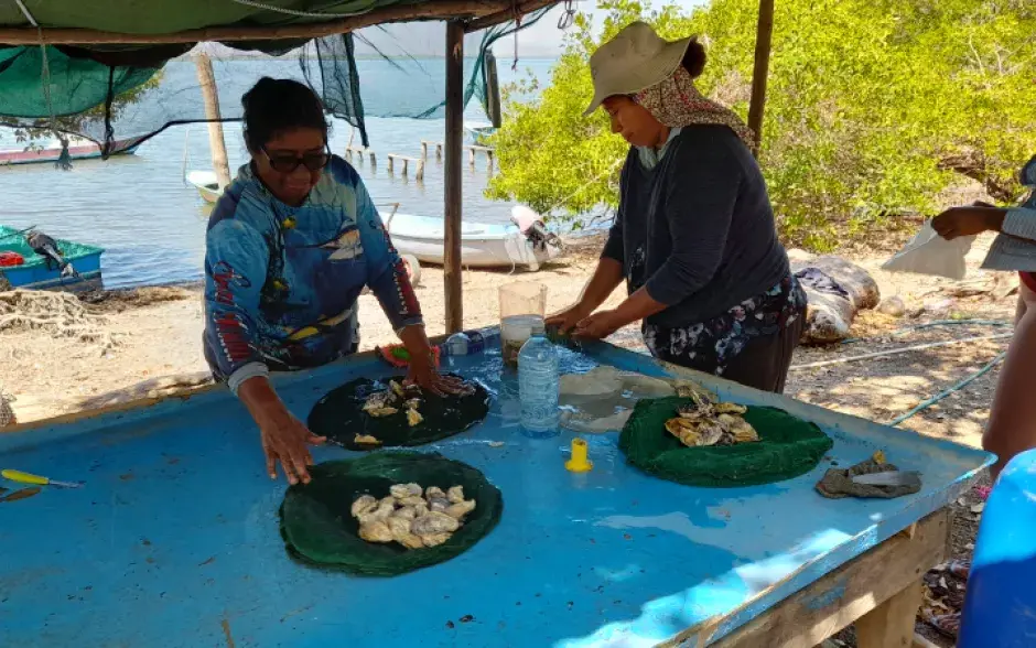 Dos mujeres limpian ostras