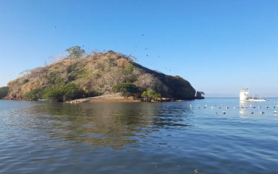 golfo en el que se cultivan mejillones