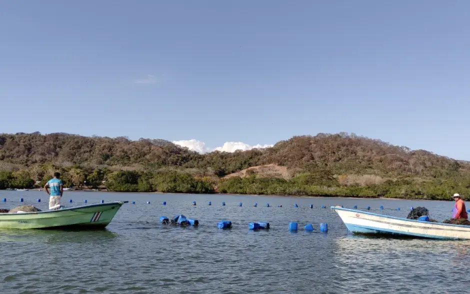 imagen de la granja en el mar
