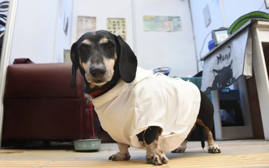 Fotografía del evento