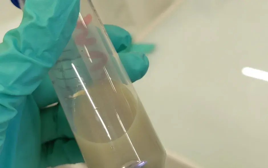 Fotografía laboratorio