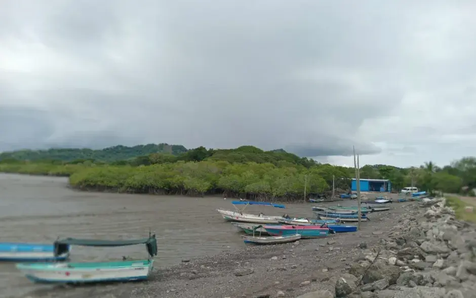 Fotografía de la actividad