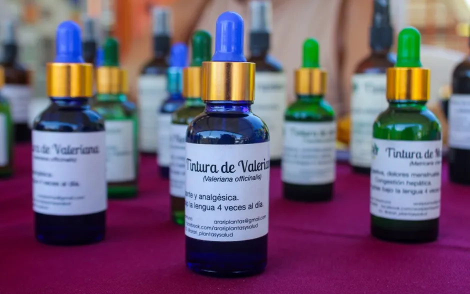 Fotografía de asistentes al evento