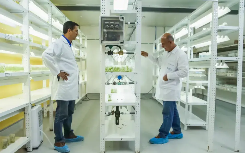 dos investigadores en un laboratorio