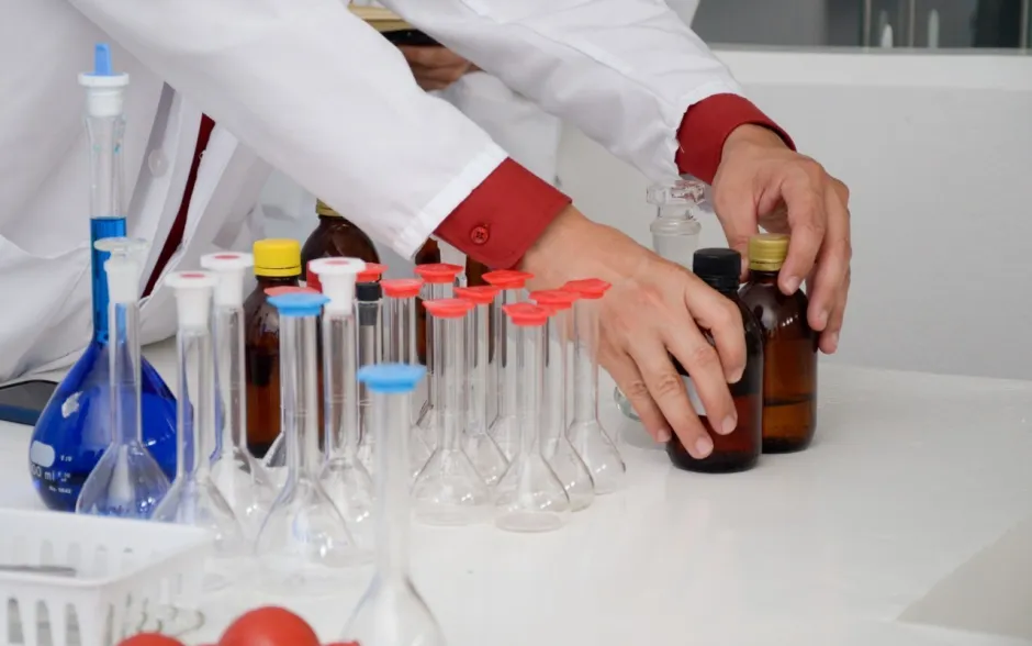 Fotografía de la actividad