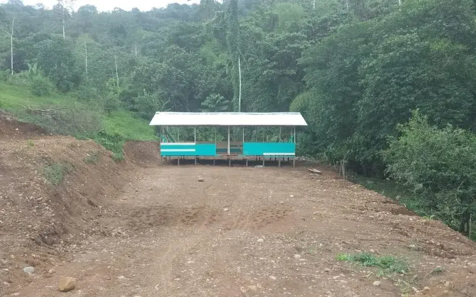 Fotografía de la actividad