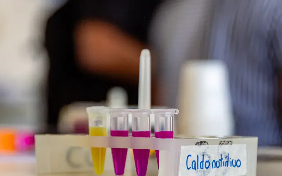 Los pigmentos pueden ser de diversos colores, según existan en el material genético