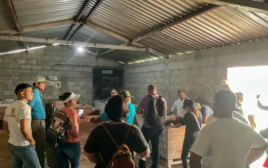 fermentador de cacao