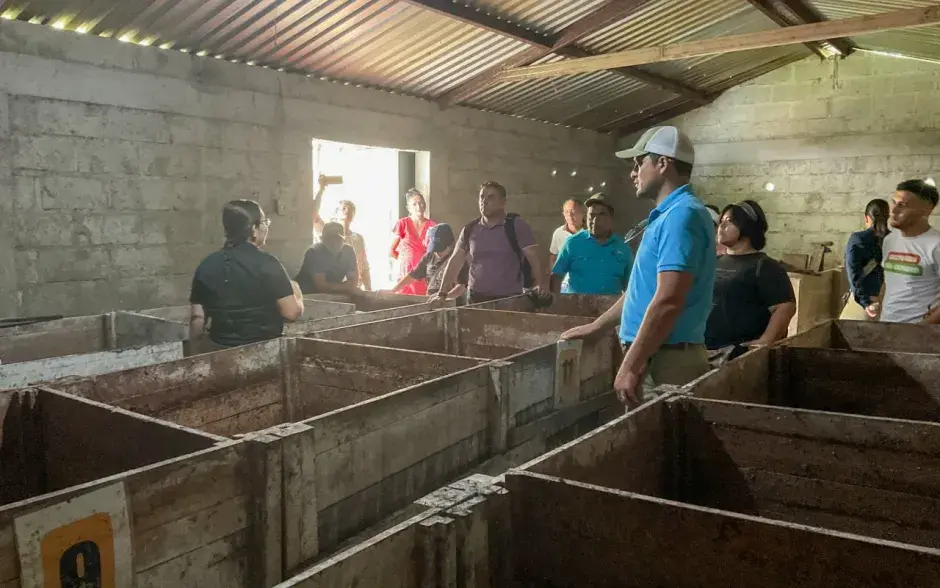 fermentador de cacao