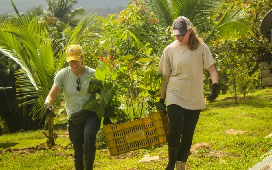 Voluntarios trabajando en el campo