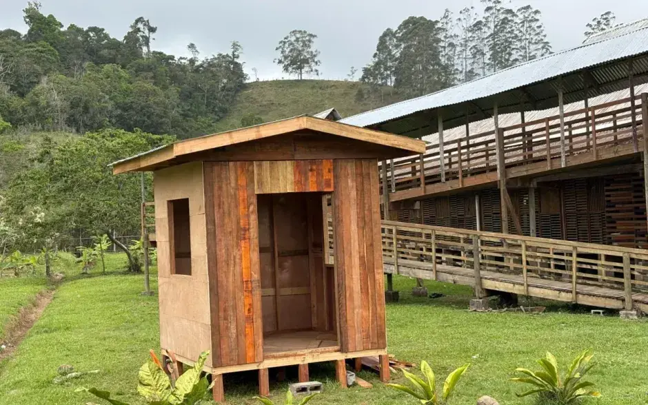 Cosmovisión indígena es protagonista en proyecto de construcción de viviendas de madera