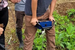 Labores agrícolas