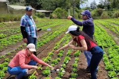 Laboratorio de riego