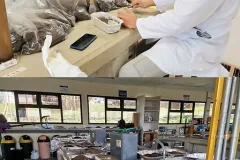 Laboratorio de suelos