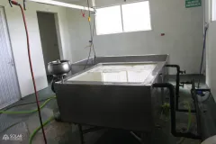 Fotografía