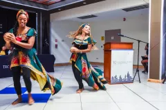 Presentación artística