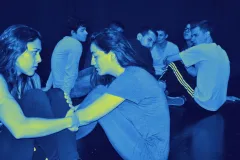 Bullying Social