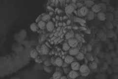 Fotografía 6