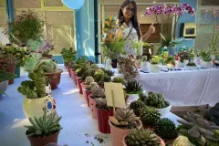 Fotografía del evento