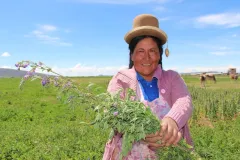 Agricultora