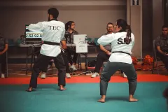 Equipo taekwondo