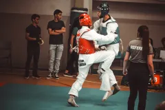 Equipo taekwondo